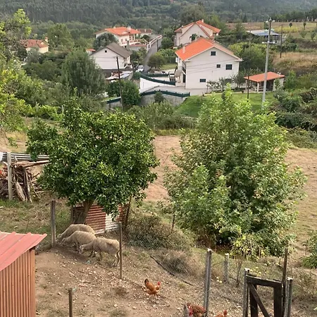 Casinha Do Riacho Country house *