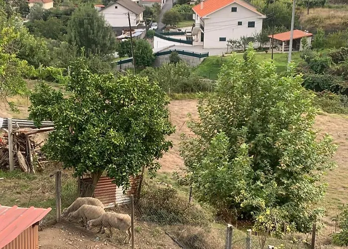 Casinha Do Riacho בית כפרי *